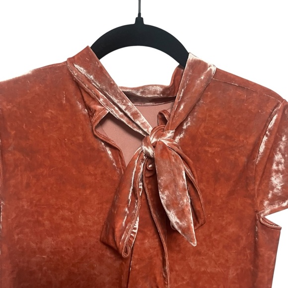 Madewell Crushed Velvet Mockneck Dress - Picture 6 of 10